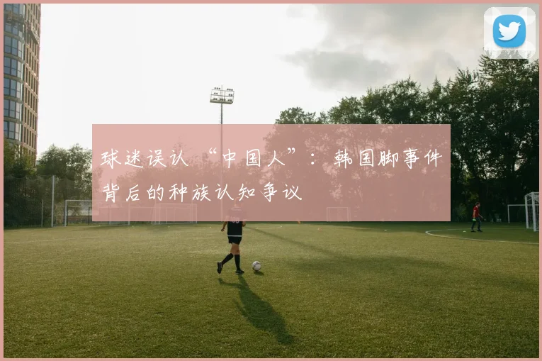 球迷误认 “中国人”：韩国脚事件背后的种族认知争议