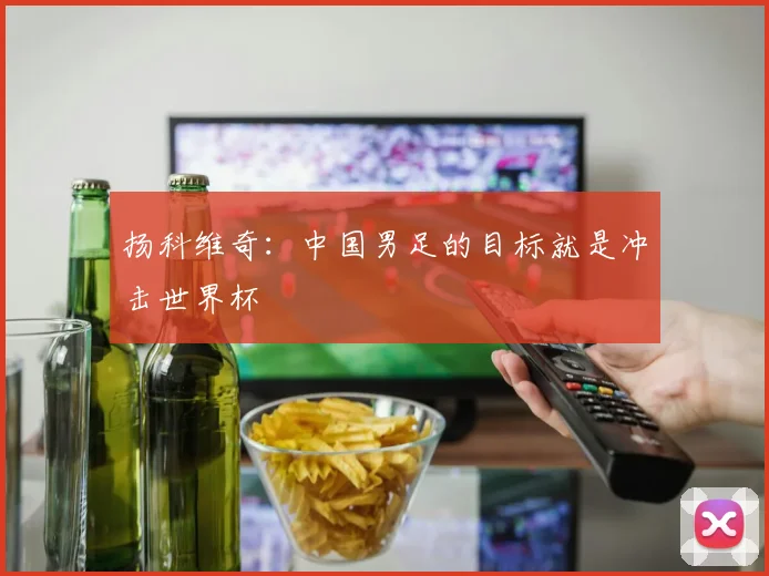 扬科维奇：中国男足的目标就是冲击世界杯